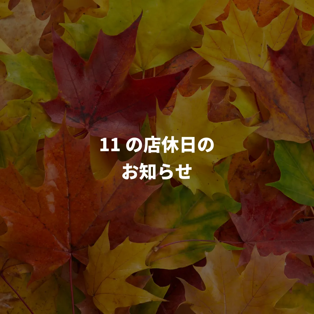 11月の店休日のお知らせ